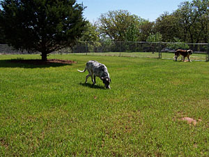 Play yard