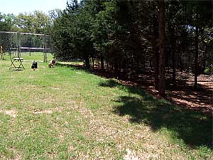 Play yard