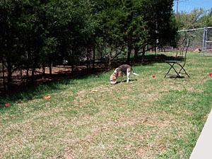 Play yard